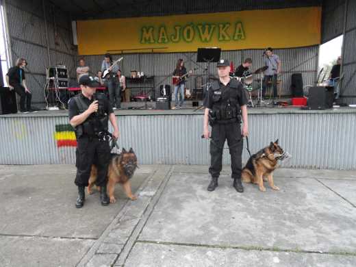 22. Punktualnie o godz. 19:00 ropoczął się pokaz umiejętności psów policyjnych!